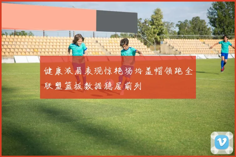 健康浓眉表现惊艳场均盖帽领跑全联盟篮板数据稳居前列