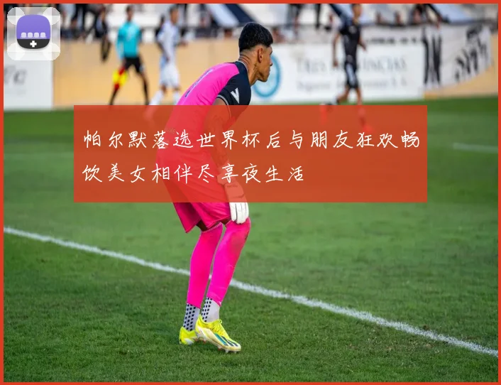 帕尔默落选世界杯后与朋友狂欢畅饮美女相伴尽享夜生活